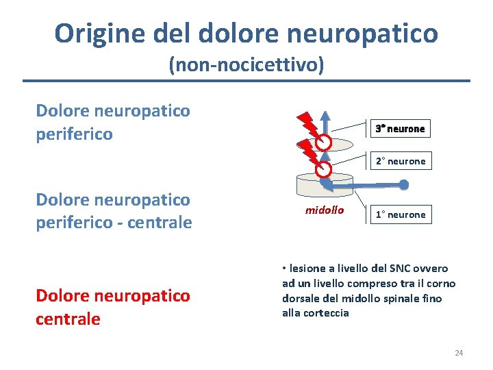 Origine del dolore neuropatico (non-nocicettivo) Dolore neuropatico periferico 3° neurone 2° neurone Dolore neuropatico