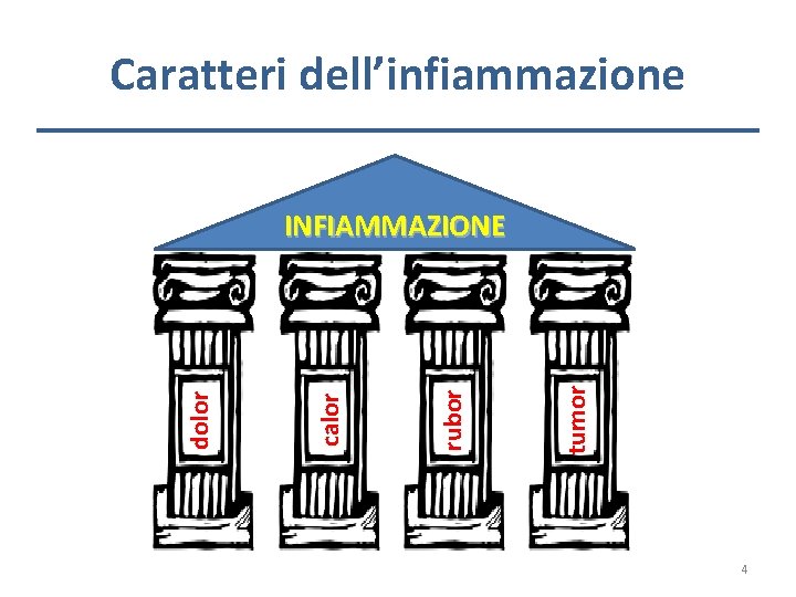 Caratteri dell’infiammazione tumor rubor calor dolor INFIAMMAZIONE 4 