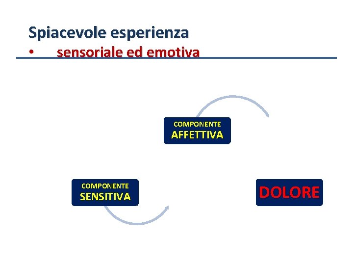 Spiacevole esperienza • sensoriale ed emotiva COMPONENTE AFFETTIVA COMPONENTE SENSITIVA DOLORE 