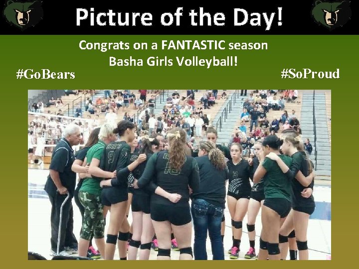 Picture of the Day! #Go. Bears Congrats on a FANTASTIC season Basha Girls Volleyball!