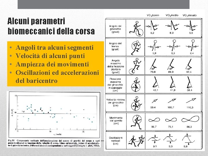 Alcuni parametri biomeccanici della corsa • • Angoli tra alcuni segmenti Velocità di alcuni