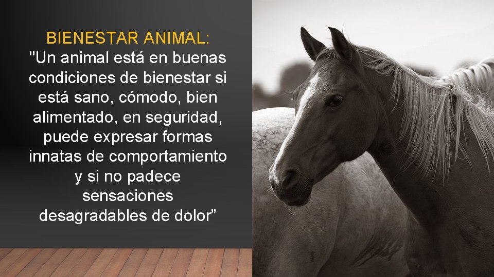 BIENESTAR ANIMAL: "Un animal está en buenas condiciones de bienestar si está sano, cómodo,