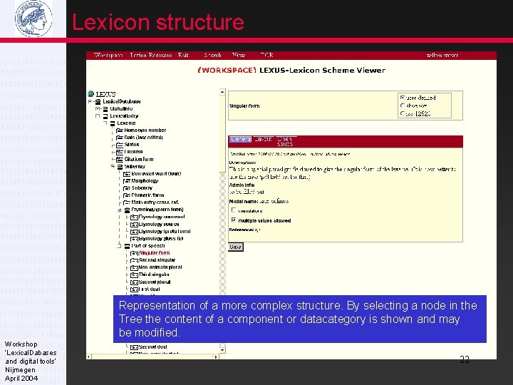 Lexicon structure Representation of a more complex structure. By selecting a node in the