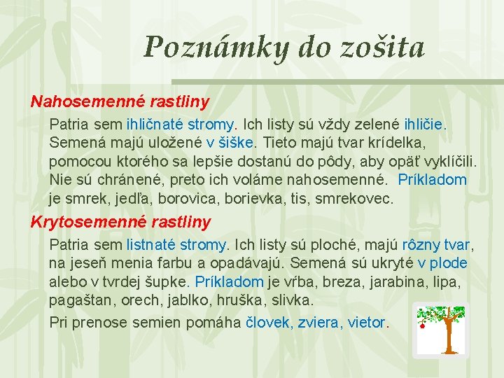 Poznámky do zošita Nahosemenné rastliny Patria sem ihličnaté stromy. Ich listy sú vždy zelené