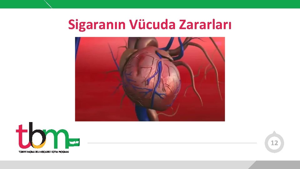 Sigaranın Vücuda Zararları 12 