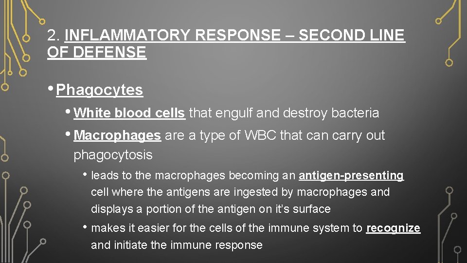 2. INFLAMMATORY RESPONSE – SECOND LINE OF DEFENSE • Phagocytes • White blood cells