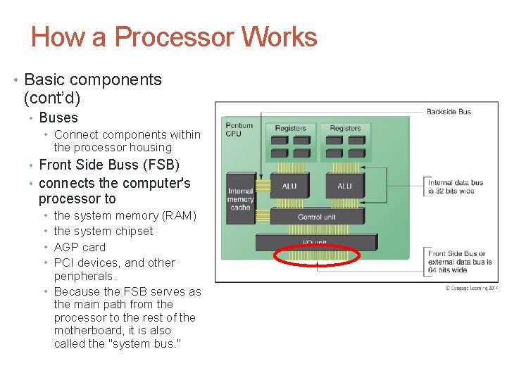 How a Processor Works • Basic components (cont’d) • Buses • Connect components within