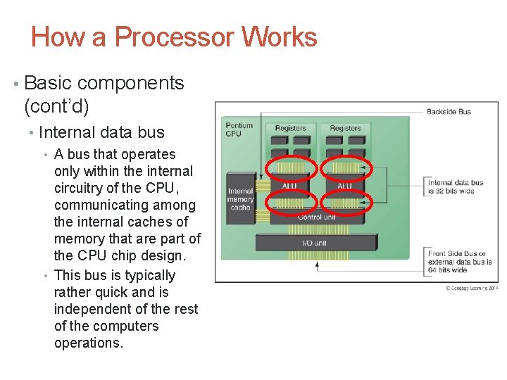 How a Processor Works • Basic components (cont’d) • Internal data bus • A