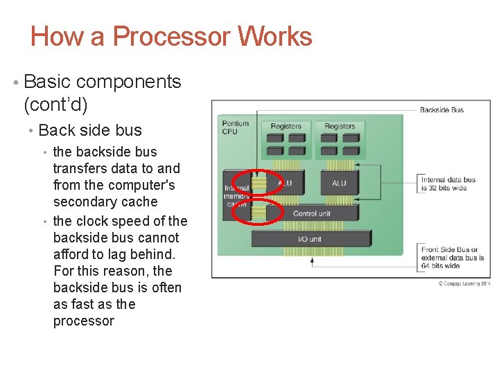 How a Processor Works • Basic components (cont’d) • Back side bus • the