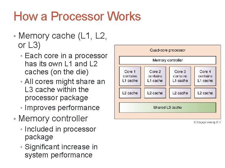 How a Processor Works • Memory cache (L 1, L 2, or L 3)