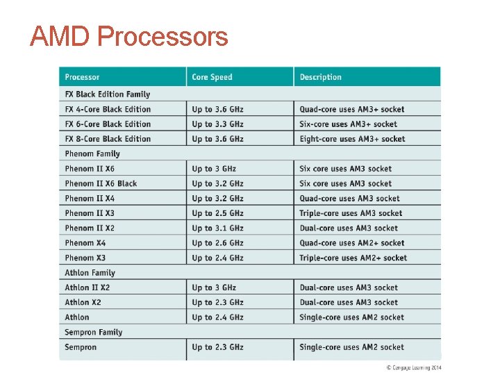 AMD Processors 