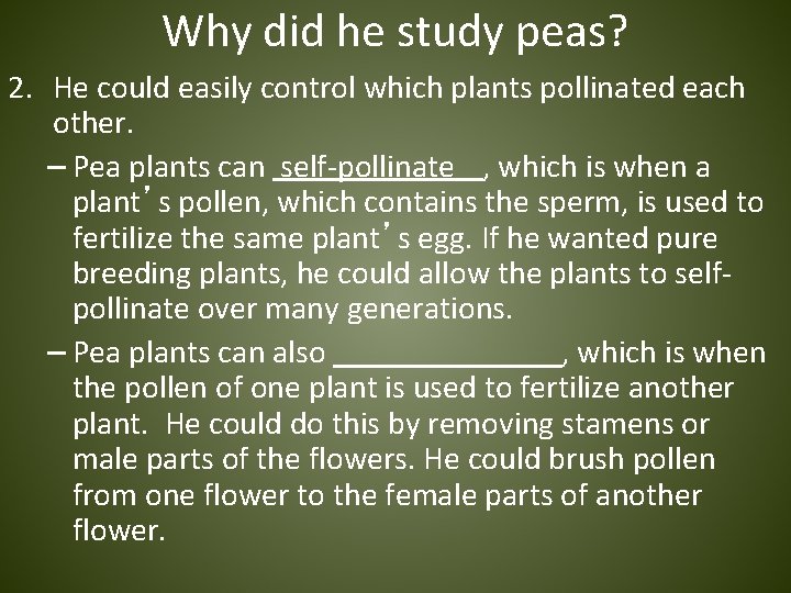 Why did he study peas? 2. He could easily control which plants pollinated each