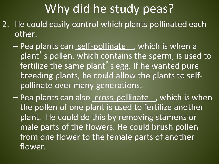 Why did he study peas? 2. He could easily control which plants pollinated each