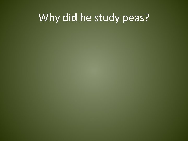 Why did he study peas? 