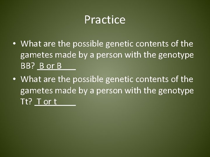 Practice • What are the possible genetic contents of the gametes made by a