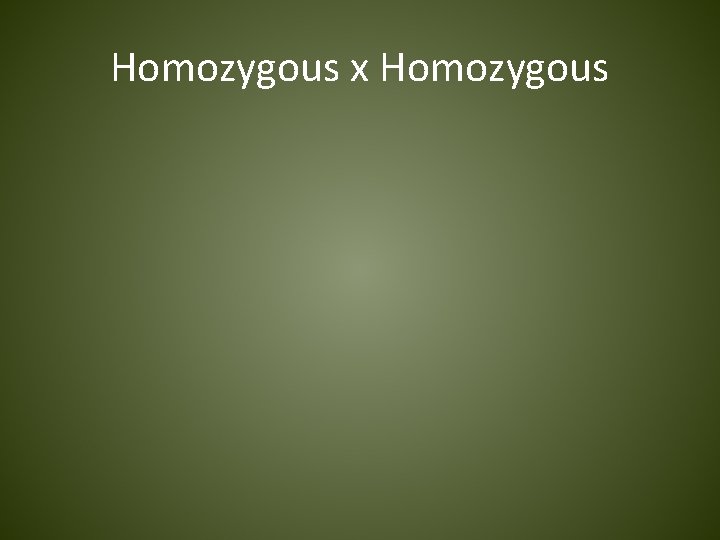 Homozygous x Homozygous 