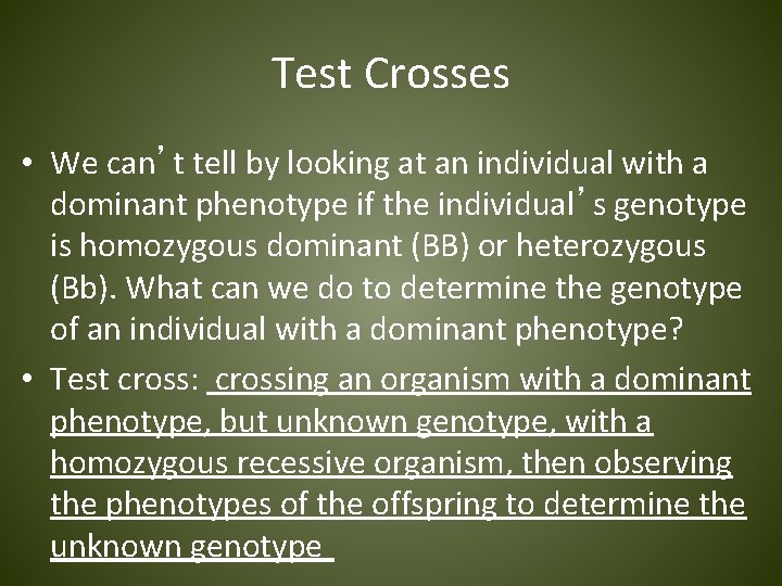 Test Crosses • We can’t tell by looking at an individual with a dominant