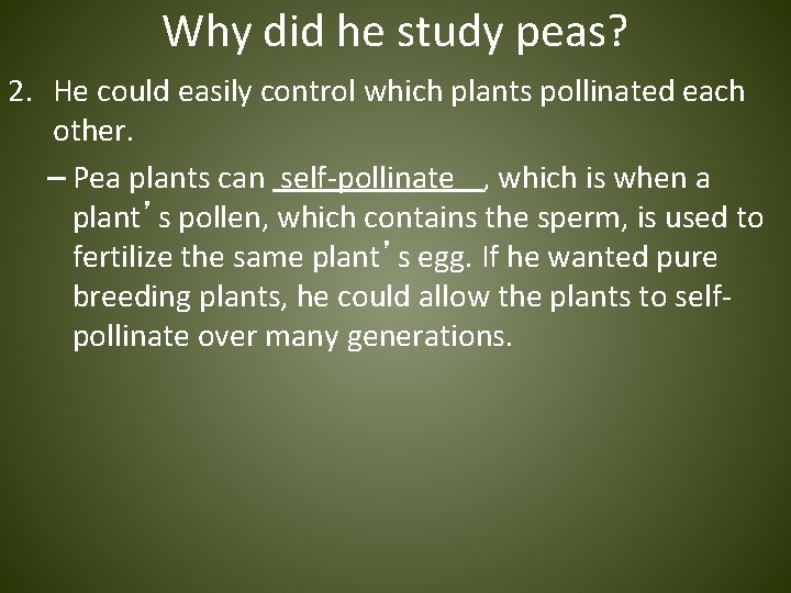 Why did he study peas? 2. He could easily control which plants pollinated each