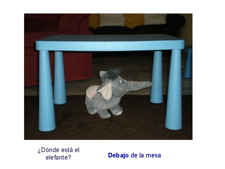 ¿Dónde está el elefante? Debajo de la mesa 