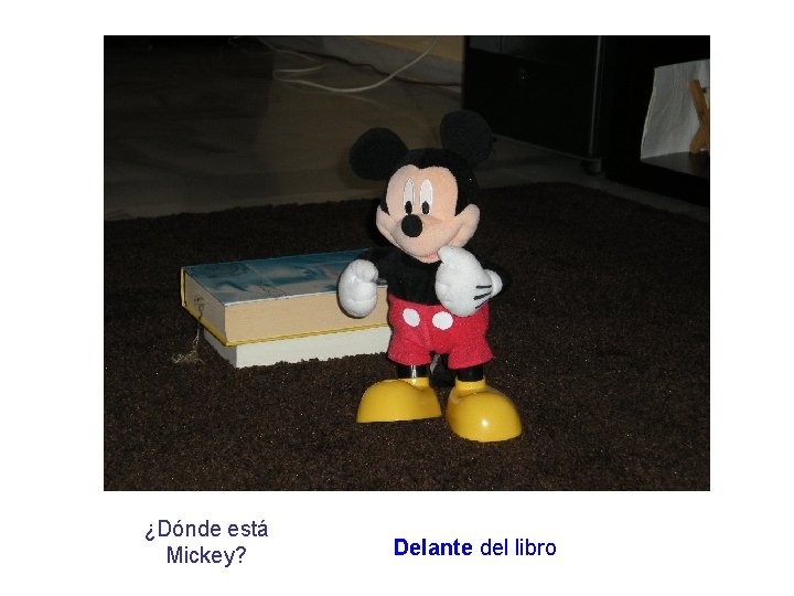 ¿Dónde está Mickey? Delante del libro 
