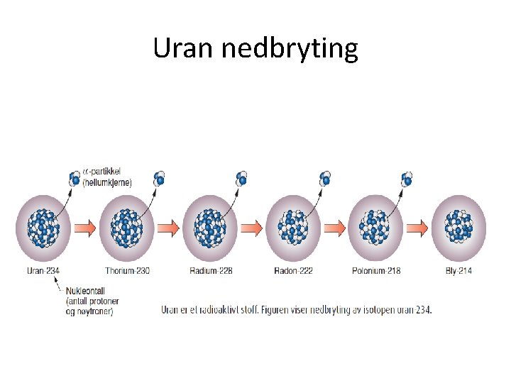 Uran nedbryting 