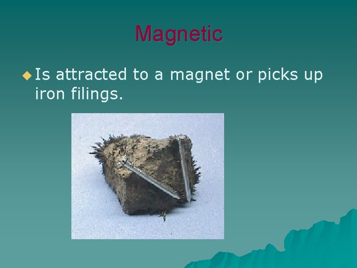 Magnetic u Is attracted to a magnet or picks up iron filings. 
