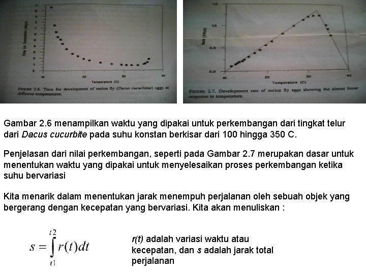 Gambar 2. 6 menampilkan waktu yang dipakai untuk perkembangan dari tingkat telur dari Dacus