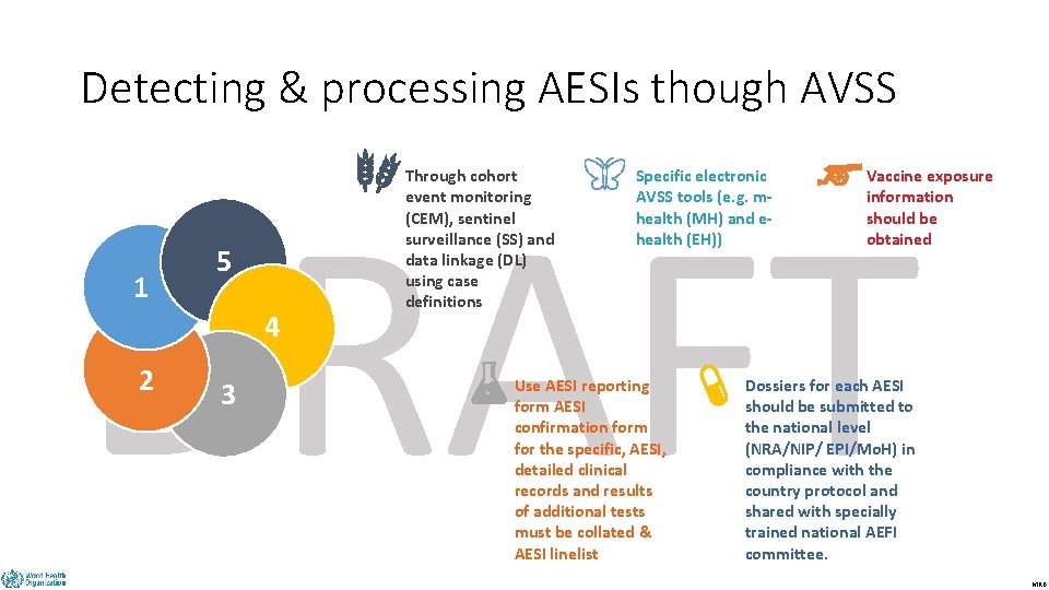 Detecting & processing AESIs though AVSS DRAFT 1 5 4 2 3 Through cohort