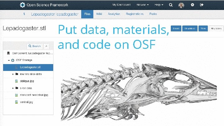 Put data, materials, and code on OSF 