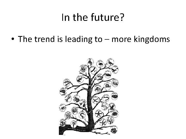 In the future? • The trend is leading to – more kingdoms 