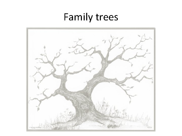 Family trees 