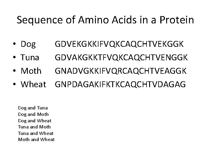 Sequence of Amino Acids in a Protein • • Dog Tuna Moth Wheat Dog