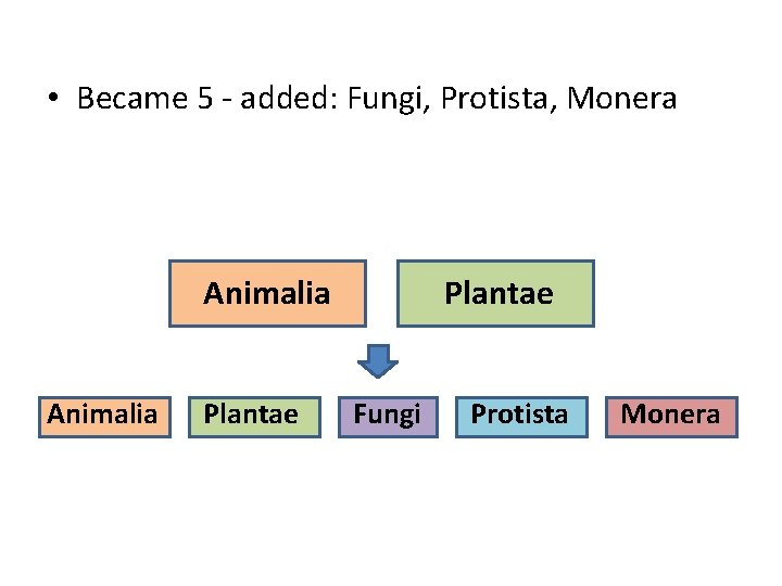  • Became 5 - added: Fungi, Protista, Monera Animalia Plantae Fungi Protista Monera