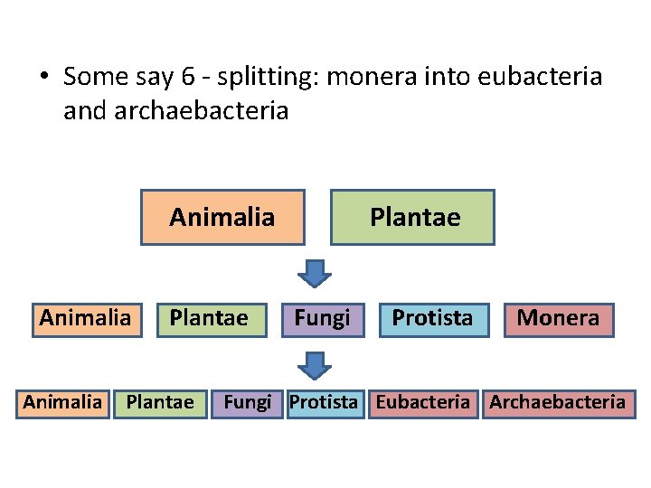  • Some say 6 - splitting: monera into eubacteria and archaebacteria Animalia Plantae