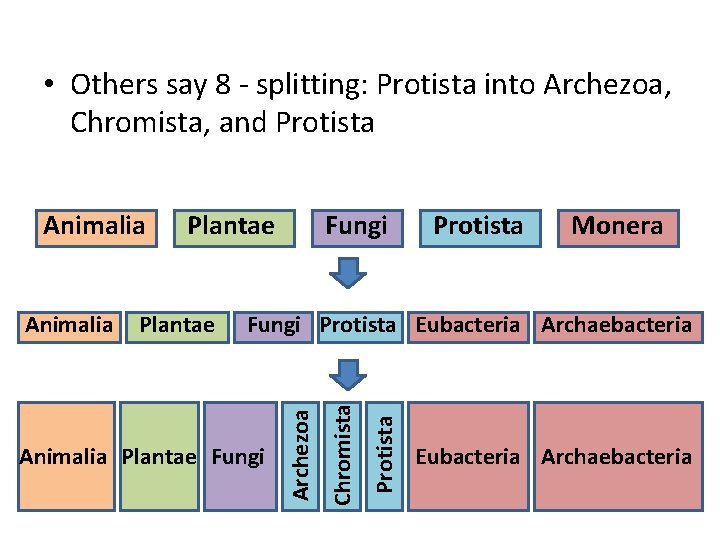  • Others say 8 - splitting: Protista into Archezoa, Chromista, and Protista Monera
