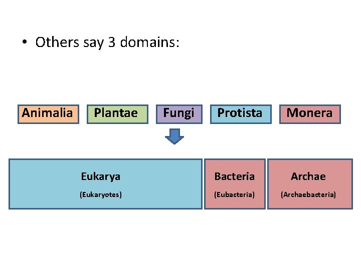  • Others say 3 domains: Animalia Plantae Fungi Protista Monera Eukarya Bacteria Archae