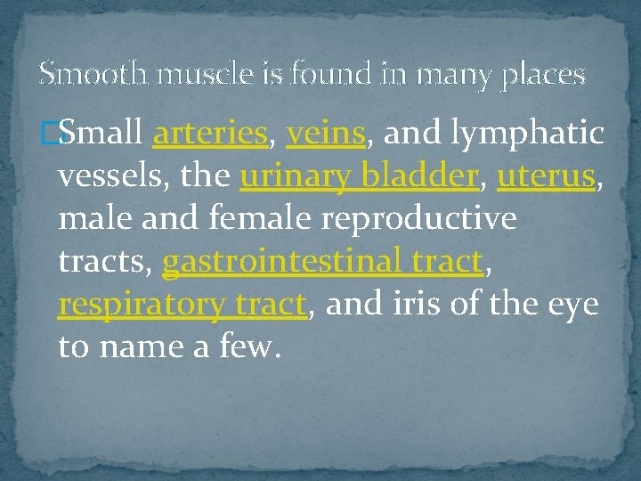 Smooth muscle is found in many places �Small arteries, veins, and lymphatic vessels, the