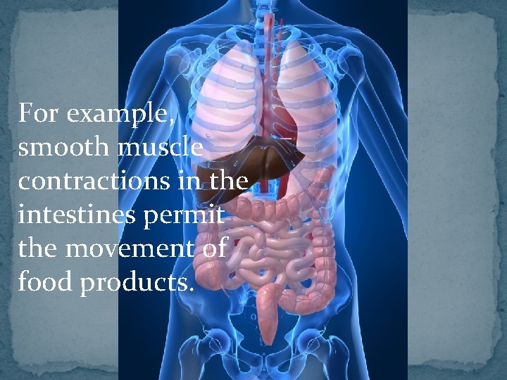 For example, smooth muscle contractions in the intestines permit the movement of food products.