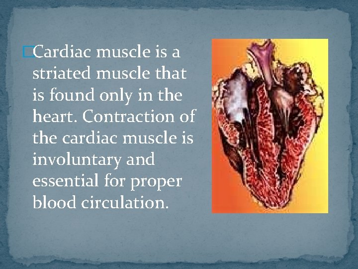 �Cardiac muscle is a striated muscle that is found only in the heart. Contraction