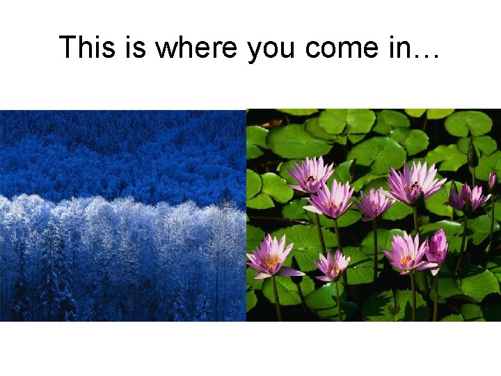 This is where you come in… 