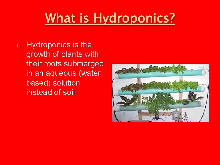 What is Hydroponics? � Hydroponics is the growth of plants with their roots submerged
