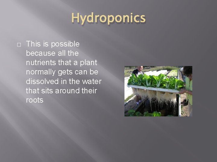 Hydroponics � This is possible because all the nutrients that a plant normally gets