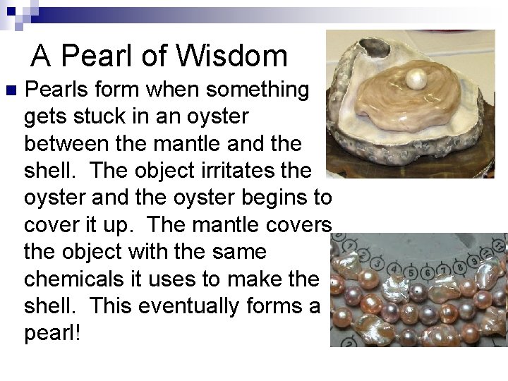 A Pearl of Wisdom n Pearls form when something gets stuck in an oyster