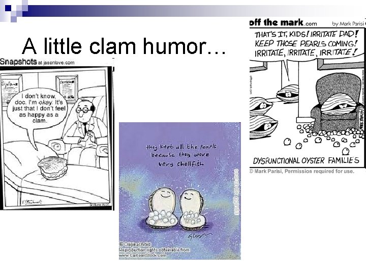 A little clam humor… 