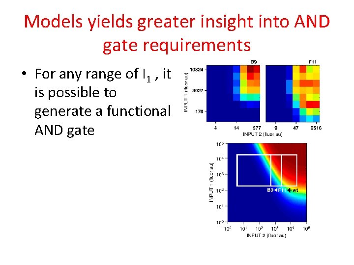 Models yields greater insight into AND gate requirements • For any range of I