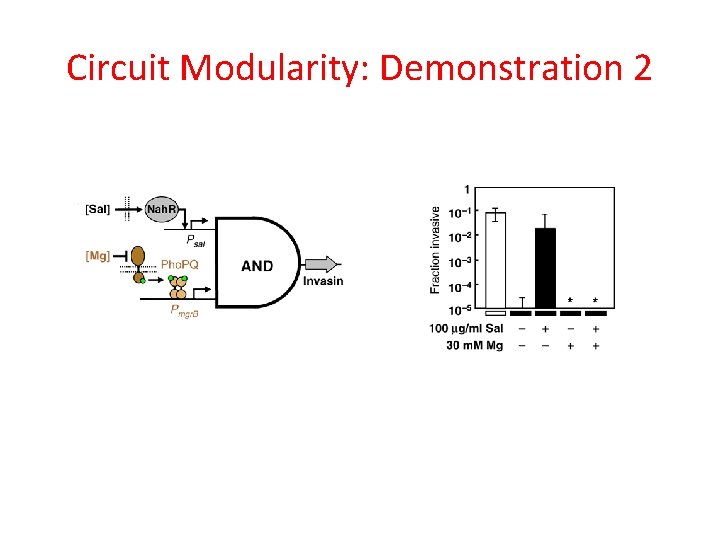Circuit Modularity: Demonstration 2 