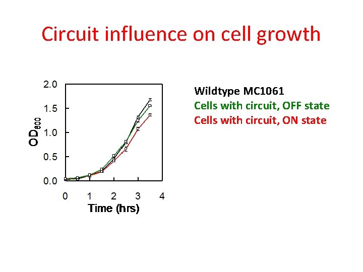 Circuit influence on cell growth Wildtype MC 1061 Cells with circuit, OFF state Cells