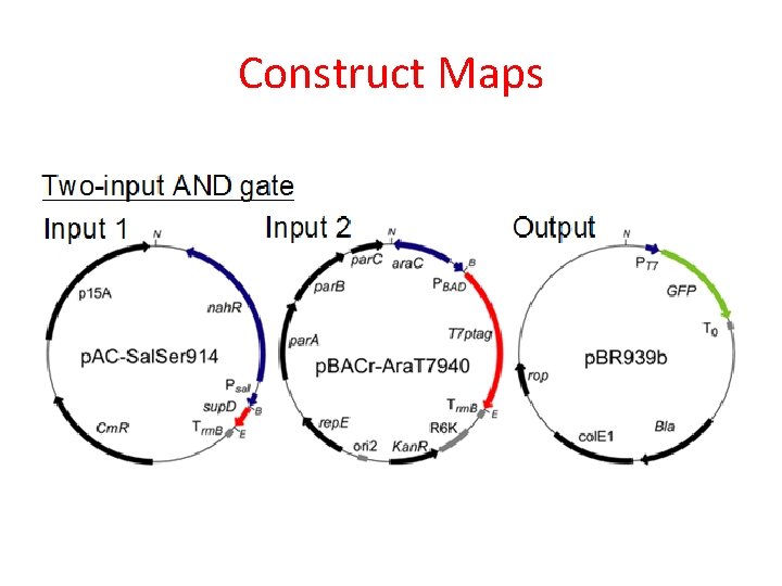 Construct Maps 
