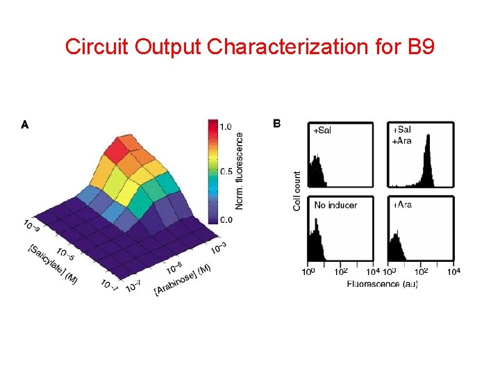 Circuit Output Characterization for B 9 