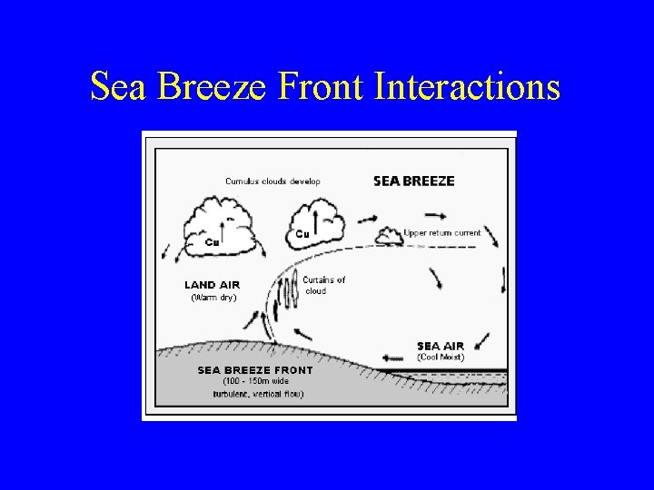 Sea Breeze Front Interactions 